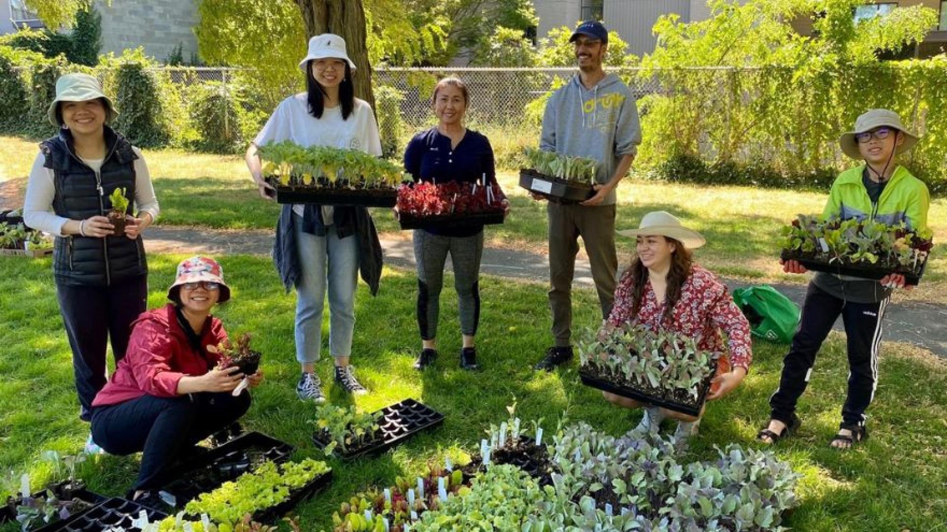 A group of people are holding a variety seedlings for free distribution