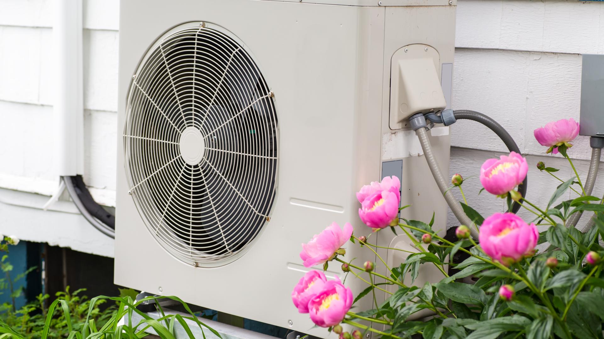 heat pump with flowers