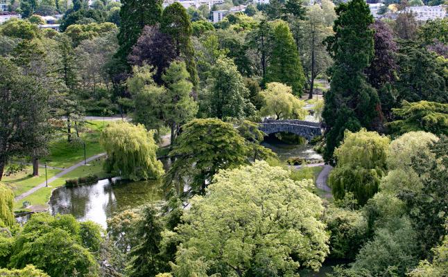 A bird's eye view of Beacon Hill Park. Lush trees and green grass surround a peaceful pond.