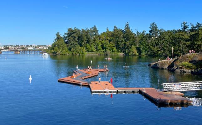 A floating swim dock extends into calm water on a sunny day. Several people are swimming, paddleboarding and relaxing around the dock. A rocky shoreline and dense trees border the inlet. A ramp connects the dock to shore and a bridge is visible in the distance beneath a cloudless sky.
