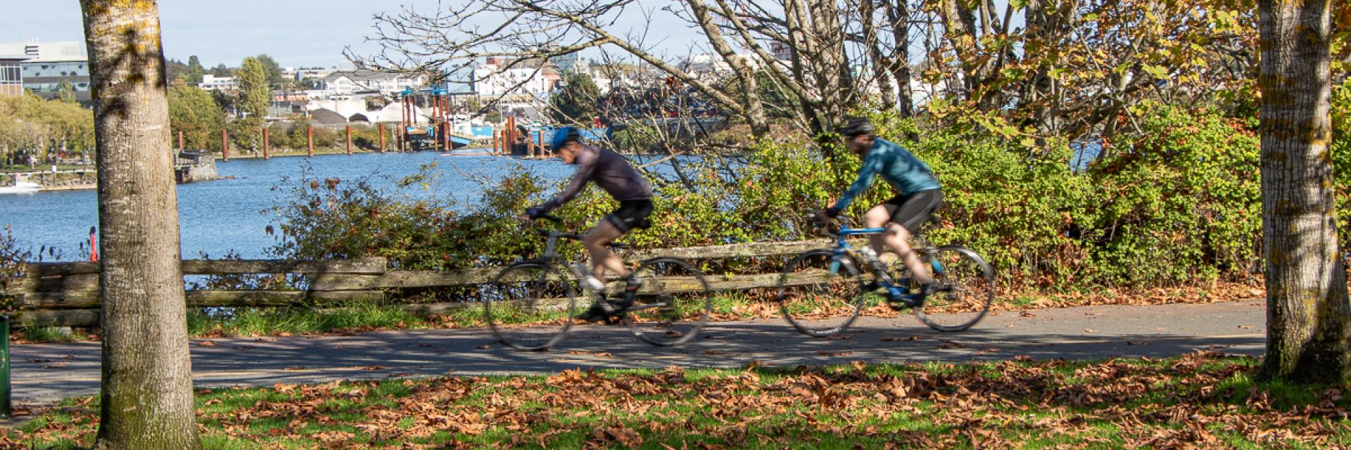 cyclists riding on a path with fall leaves