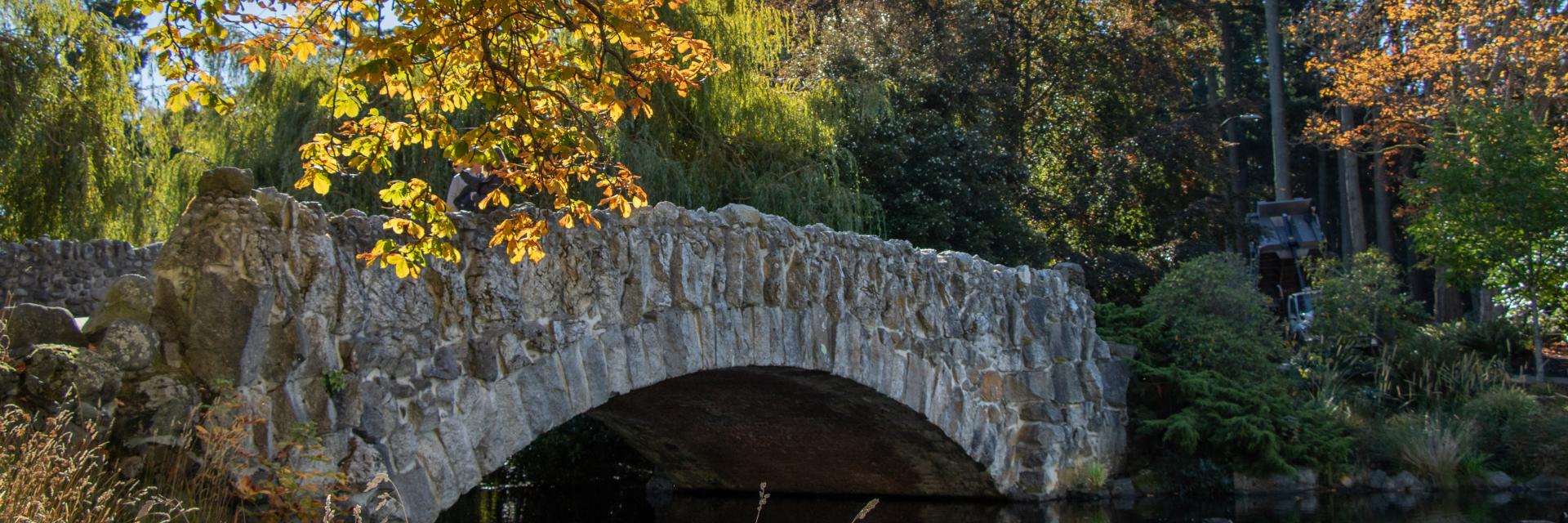 fall leaves over stone bridge in Beacon Hill Park