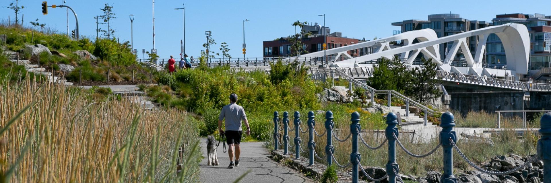 A man with a dog walking near the Johnson Street Bridge